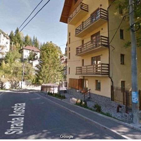 Апартаменты Apartament Aosta Central Синая Экстерьер фото