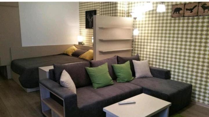 Апартаменты Apartament Aosta Central Синая Экстерьер фото