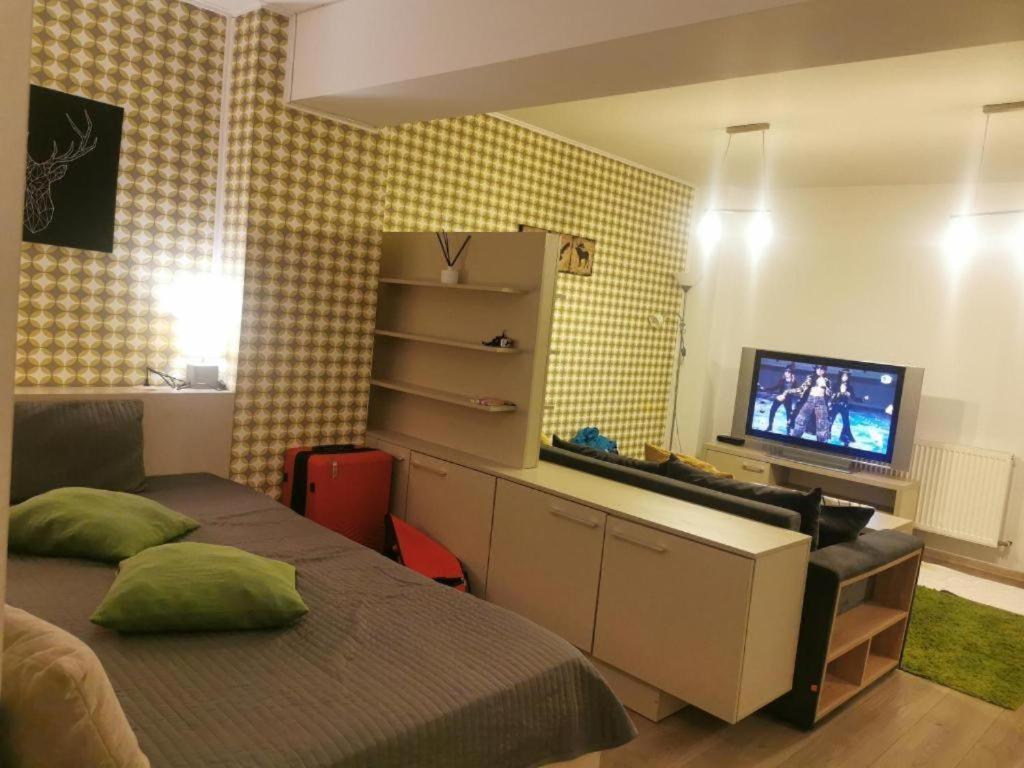 Апартаменты Apartament Aosta Central Синая Экстерьер фото